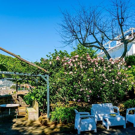 Villa Donna Elisa Sorrento Esterno foto