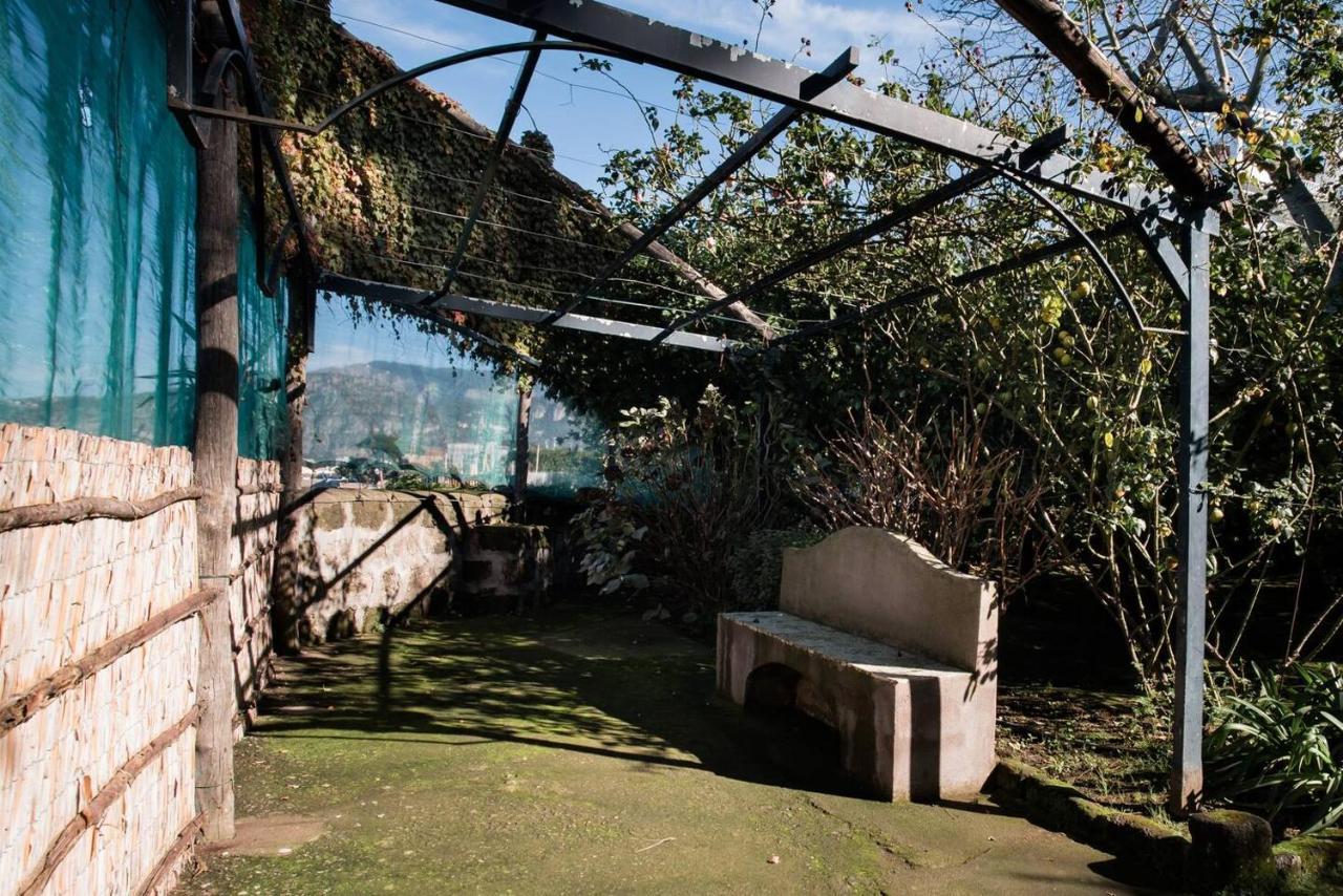 Villa Donna Elisa Sorrento Esterno foto