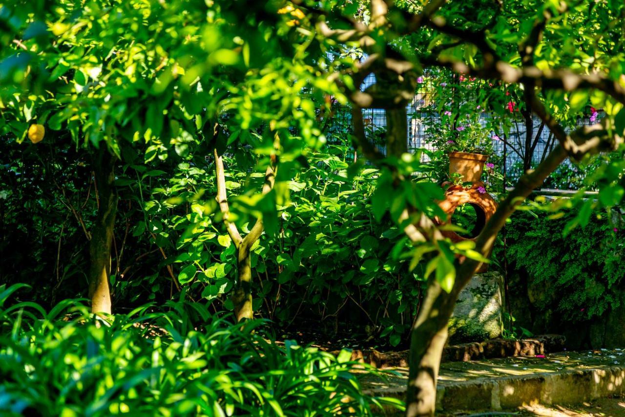 Villa Donna Elisa Sorrento Esterno foto