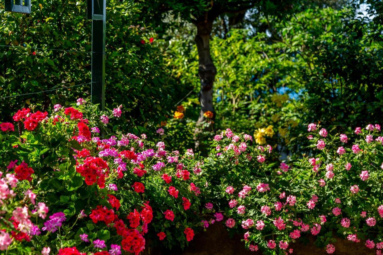 Villa Donna Elisa Sorrento Esterno foto